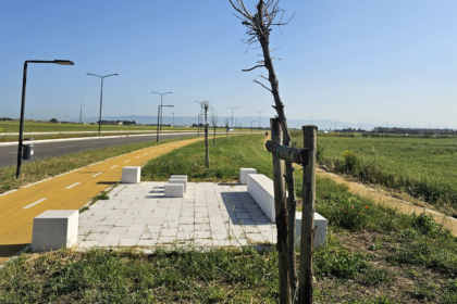 “Un cimitero vegetale lungo sette chilometri”: il WWF attacca sulla Strada Orbitale di Foggia