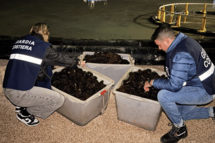 Riccio di mare, la Puglia proroga il fermo pesca fino al 2029: via libera a nuove misure per salvare la specie
