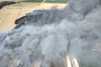 Incendio via San Severo, il WWF: “Animali morti tra le fiamme, Foggia ha toccato uno dei punti più bassi della sua storia