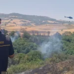 Incendio sulle colline del Foggiano, fiamme tra arbusti e macchia mediterranea a Motta Montecorvino
