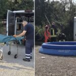 Muore per salvare il suo cane: 60enne di Foggia folgorato da un cavo elettrico