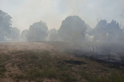 Incendio a Siponto, paura vicino a un campeggio con cento ospiti: in azione i vigili del fuoco