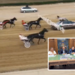Gran Premio del Gargano, 121mila euro in palio: Castelluccio dei Sauri torna capitale dell’ippica internazionale