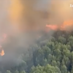 Incendi sul Gargano, Confapi Foggia: “Servono ristori rapidi e un piano strutturale di prevenzione”
