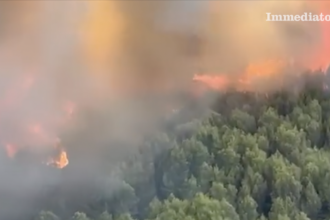 Incendi sul Gargano, Confapi Foggia: “Servono ristori rapidi e un piano strutturale di prevenzione”