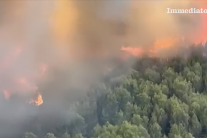 Incendi sul Gargano, Confapi Foggia: “Servono ristori rapidi e un piano strutturale di prevenzione”