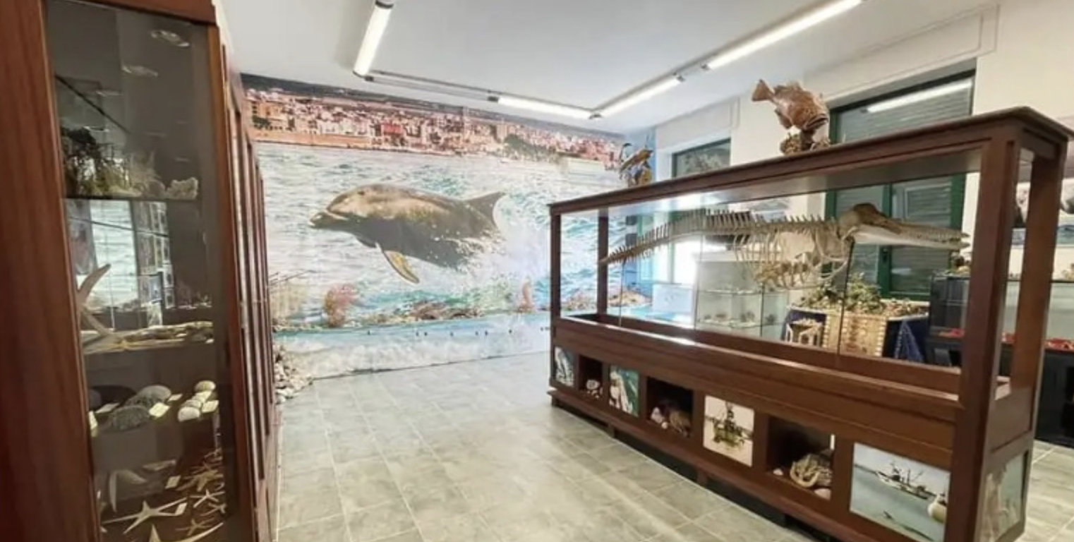 Museo del Mare di Manfredonia, appello alle istituzioni: “Restituite i locali alla loro destinazione originaria”