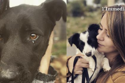 Il coraggio di Imma e Carmen tra le fiamme: “Abbiamo pensato solo a salvare i nostri cani”