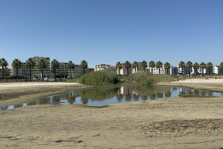 Canale H, botta e risposta social Lanotte-Cascella