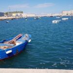 Sinistra Italiana prosegue il ciclo di incontri di autoformazione: al centro il porto di Barletta