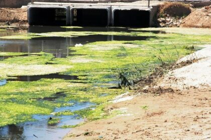 Canale H: per Arpa acque balneabili, ma resta il divieto di balneazione